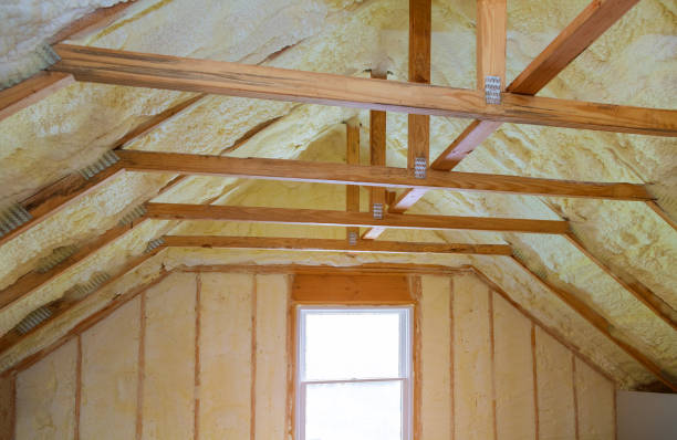 Best Insulation Maintenance and Repair in East Lansing, MI