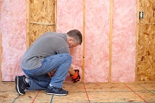 Professional Insulation Contractor in MI